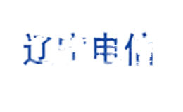 中国电信股份有限公司辽宁分公司