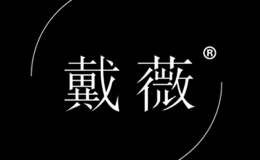 汕头市莱雅内衣辅料有限公司