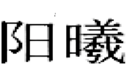 安庆阳曦模型科技有限公司